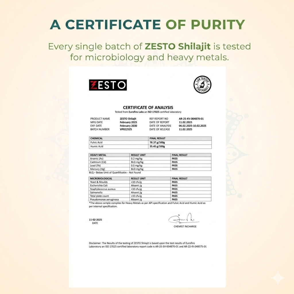 Zesto Authentic Himalayan Shilajit